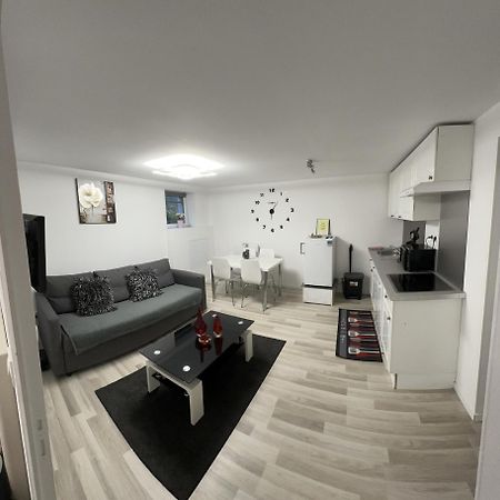 Cosy Citadin Apartment Mulhouse Bagian luar foto