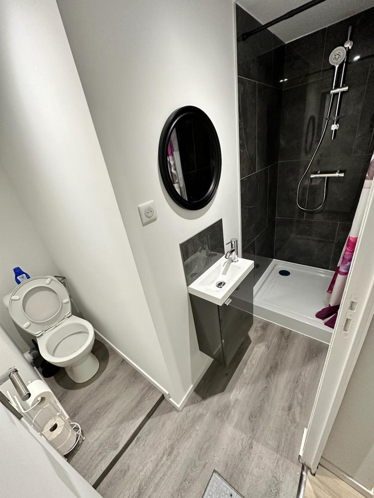Cosy Citadin Apartment Mulhouse Bagian luar foto