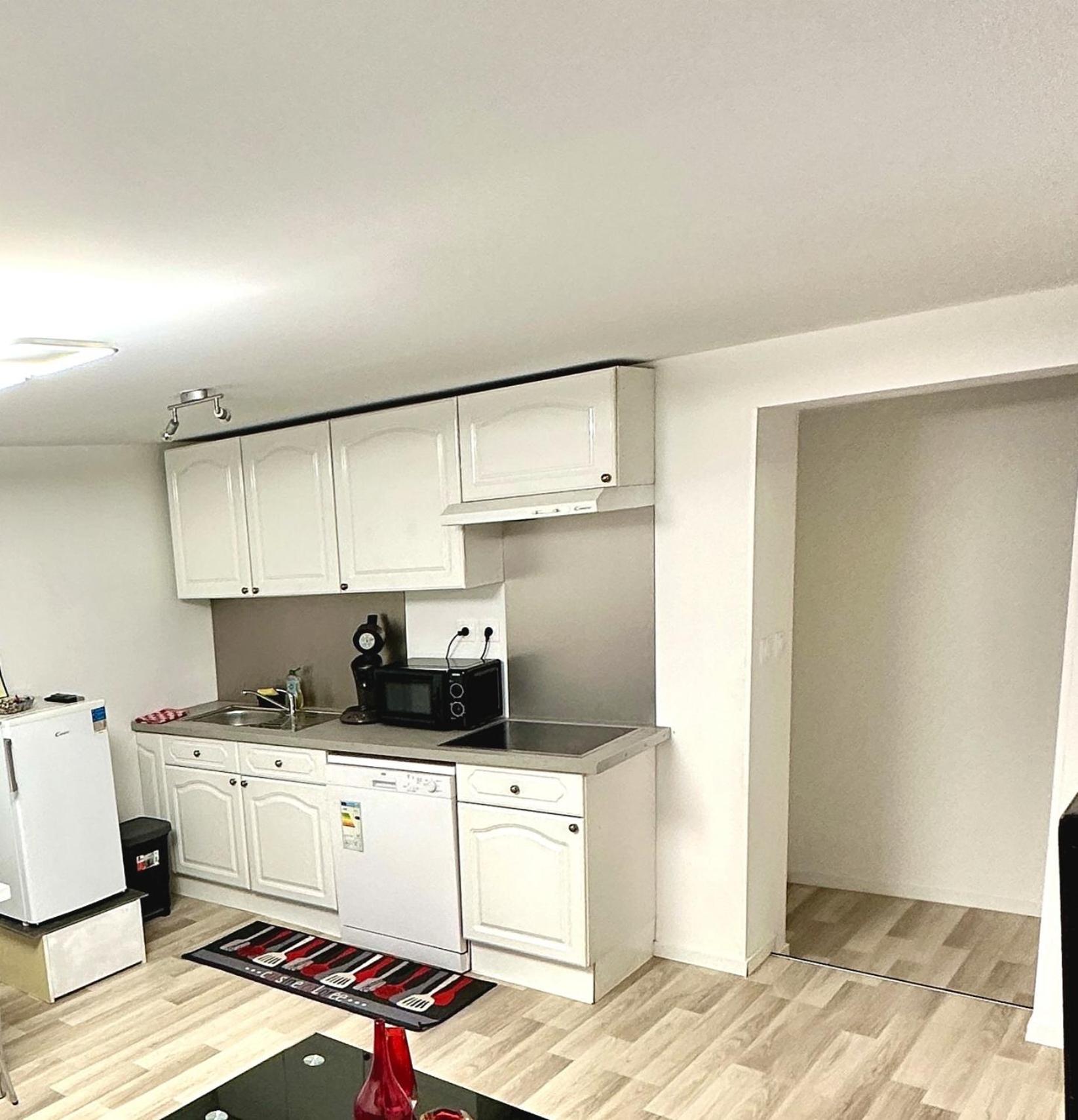 Cosy Citadin Apartment Mulhouse Bagian luar foto